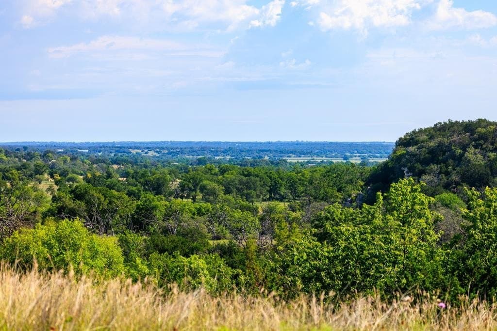 137.99 acres in Gillespie County - photo 9