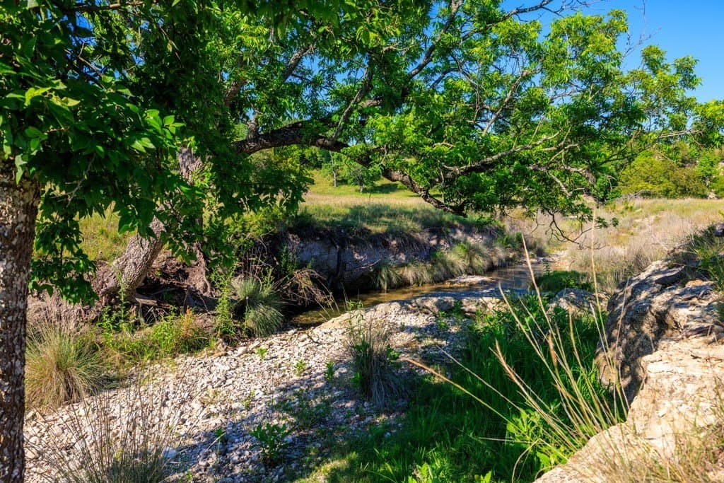 137.99 acres in Gillespie County - photo 27