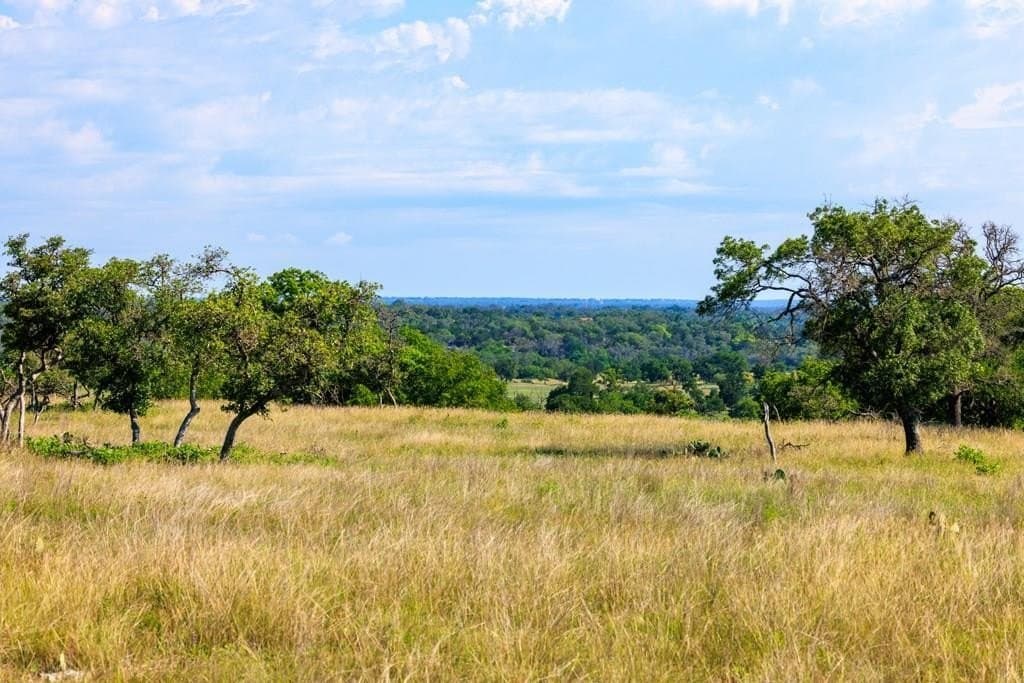 137.99 acres in Gillespie County gallery image 2