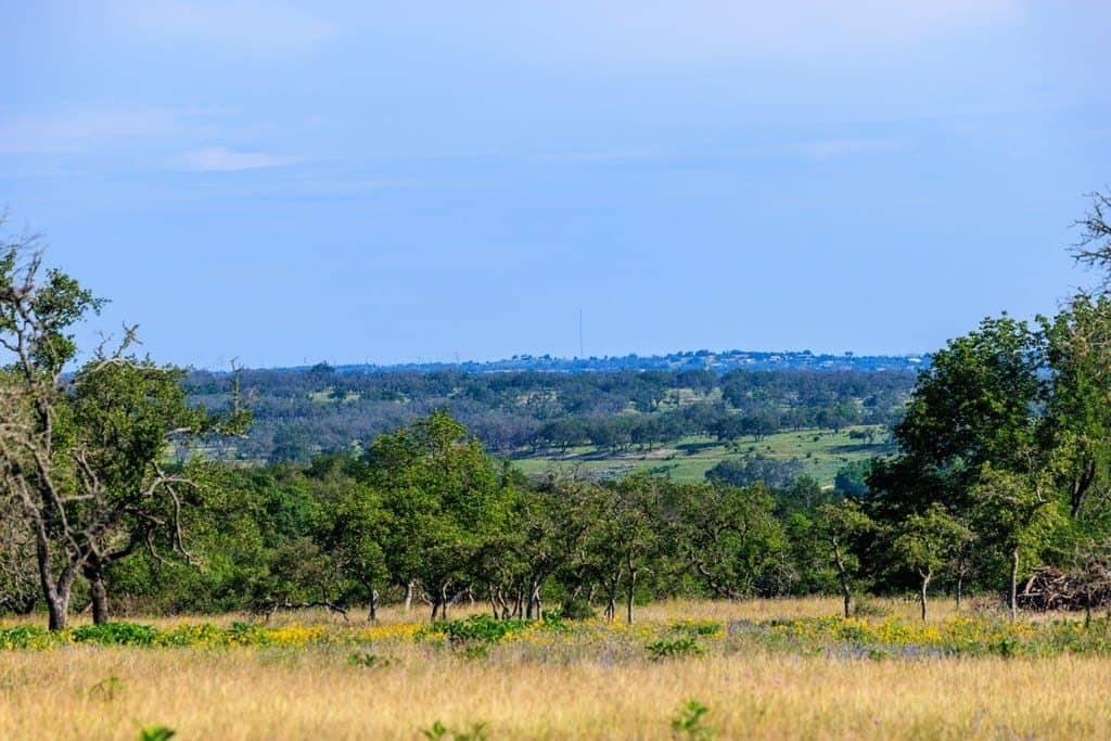 137.99 acres in Gillespie County - photo 28