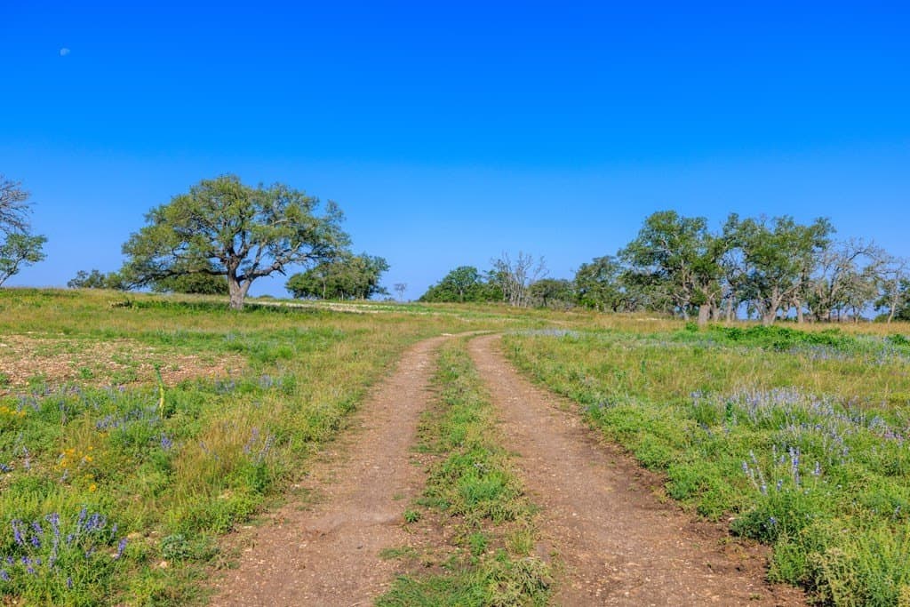 137.99 acres in Gillespie County - photo 8