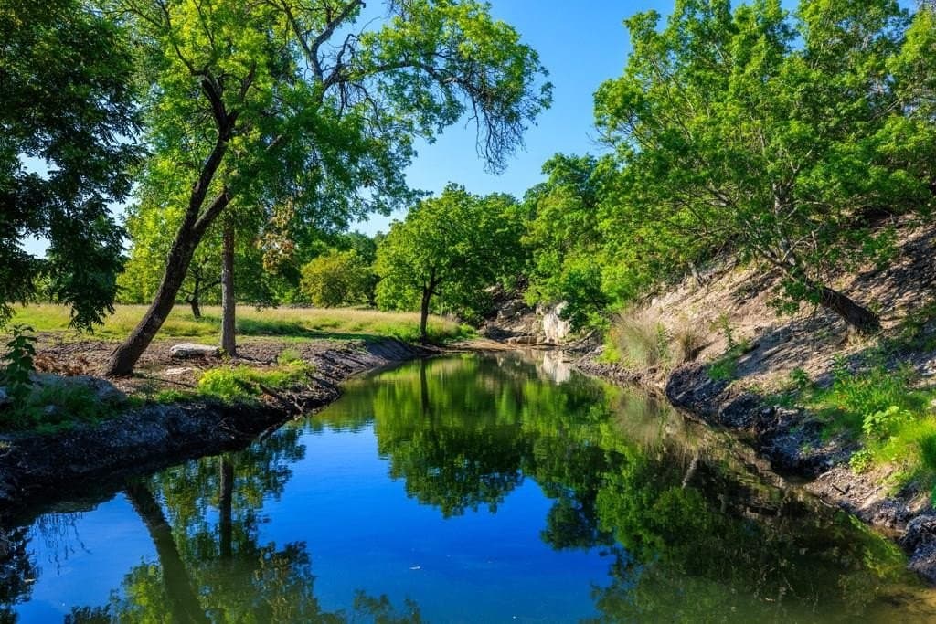 137.99 acres in Gillespie County - photo 25
