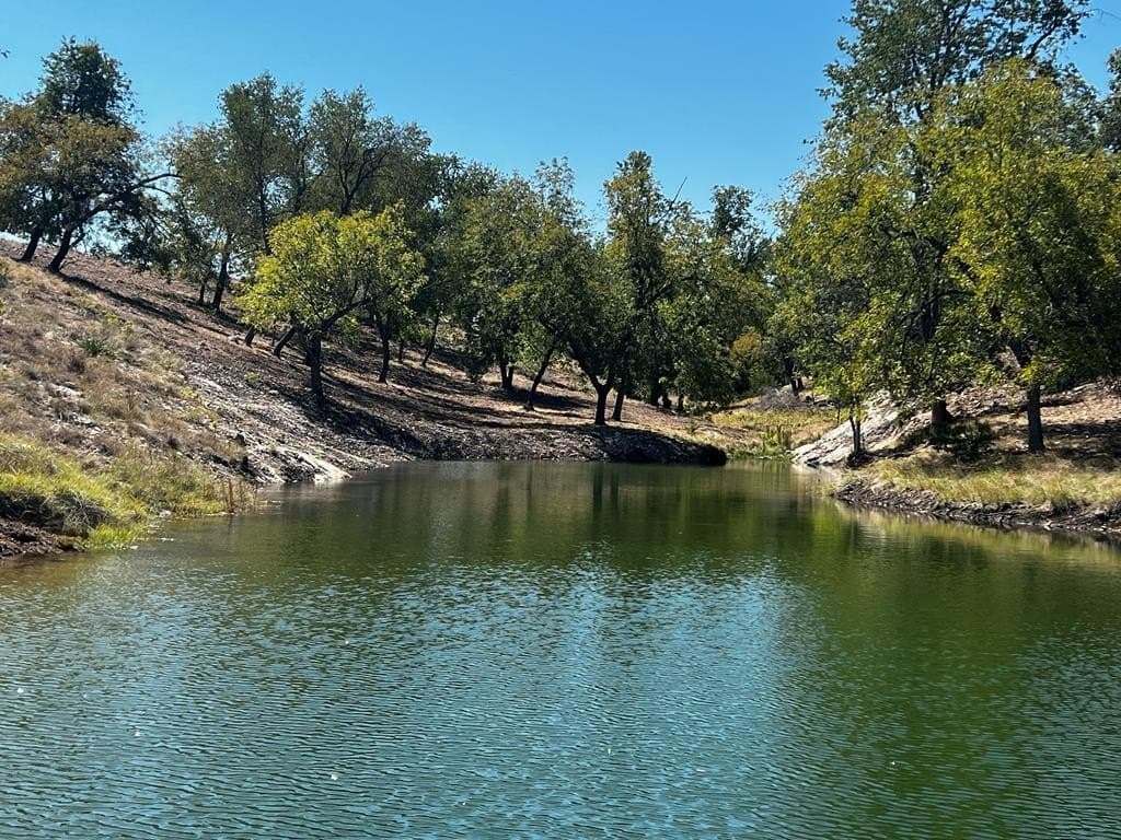 137.99 acres in Gillespie County