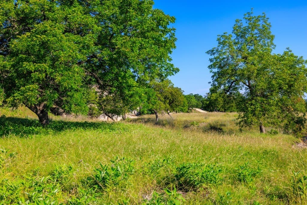 137.99 acres in Gillespie County - photo 10