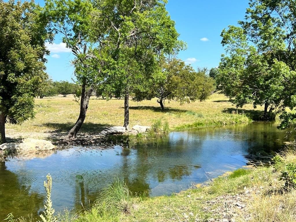 137.99 acres in Gillespie County - photo 24