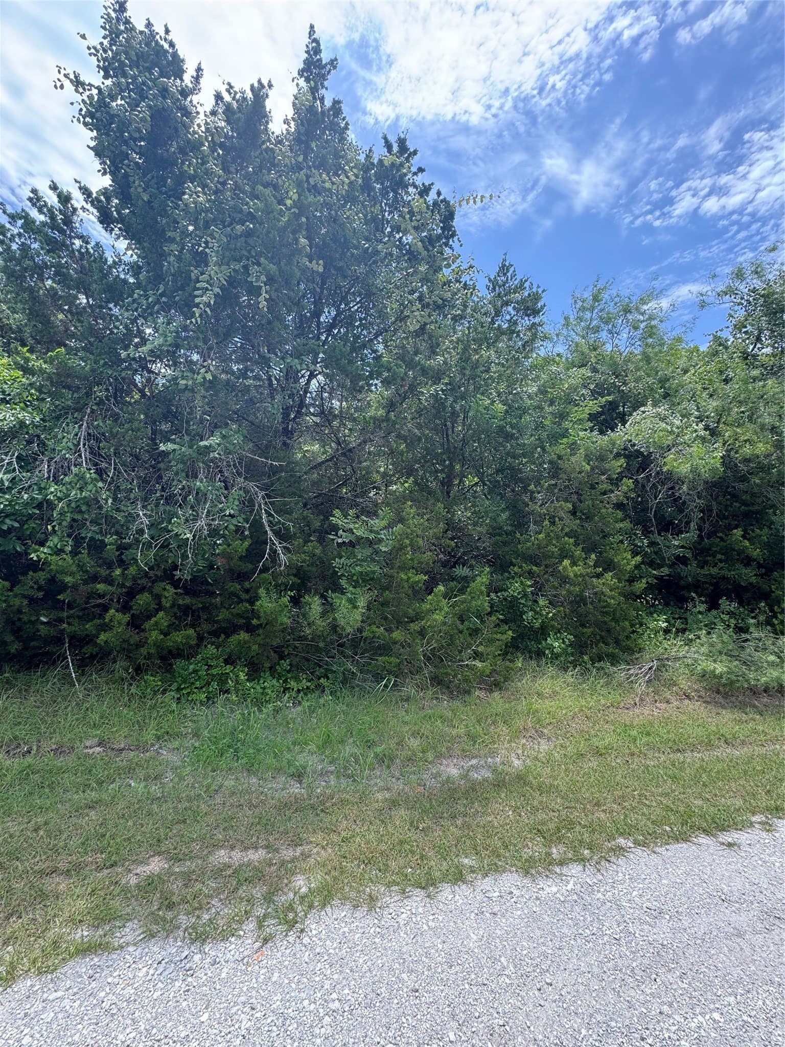 0.35 acres in Hill County - photo 2