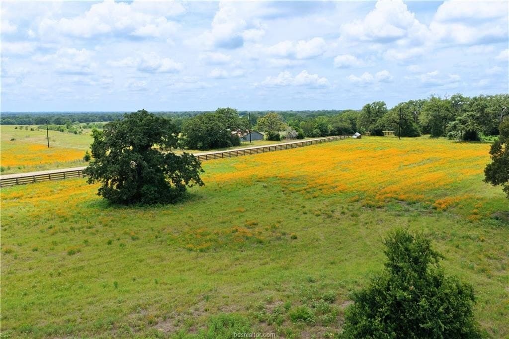 13 acres in Burleson County featured view