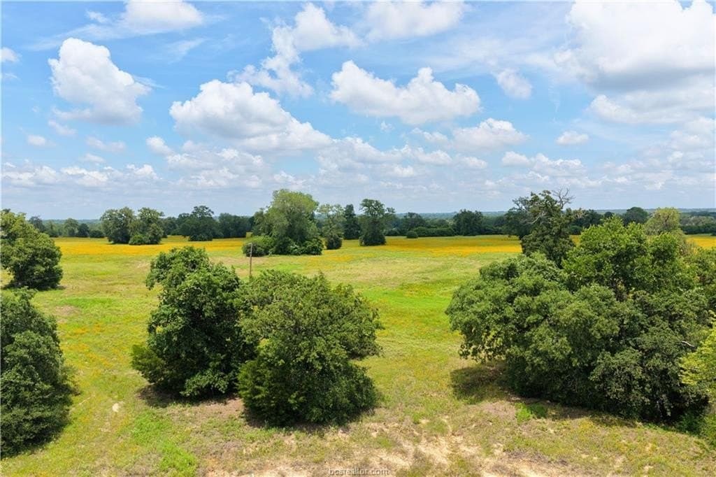 13 acres in Burleson County gallery image 4