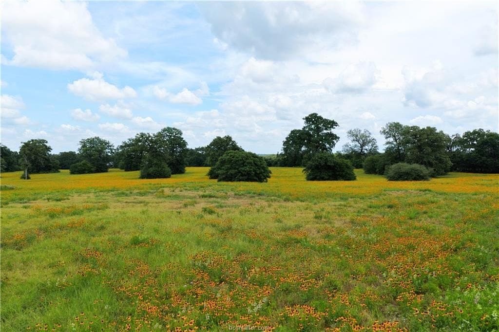13 acres in Burleson County gallery image 3