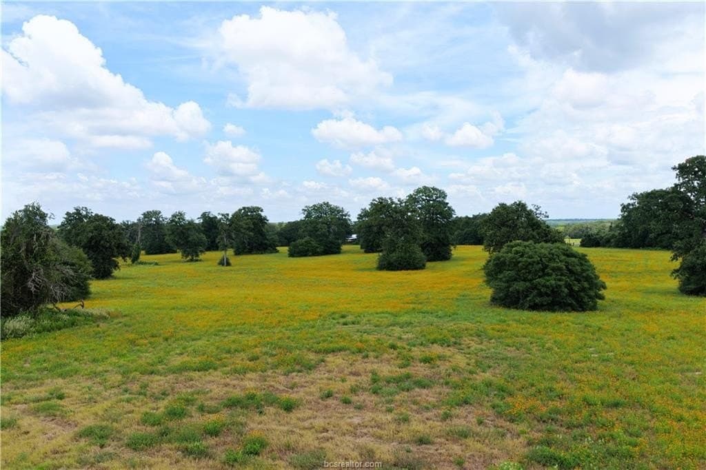 13 acres in Burleson County gallery image 2