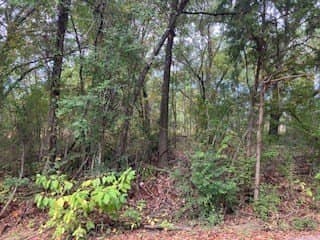 0.12 acres in Henderson County - photo 8