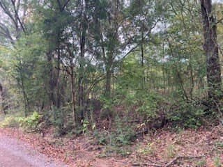 0.12 acres in Henderson County gallery image 3