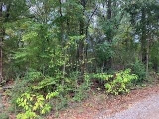 0.12 acres in Henderson County