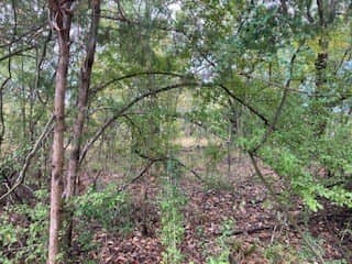 0.12 acres in Henderson County gallery image 2