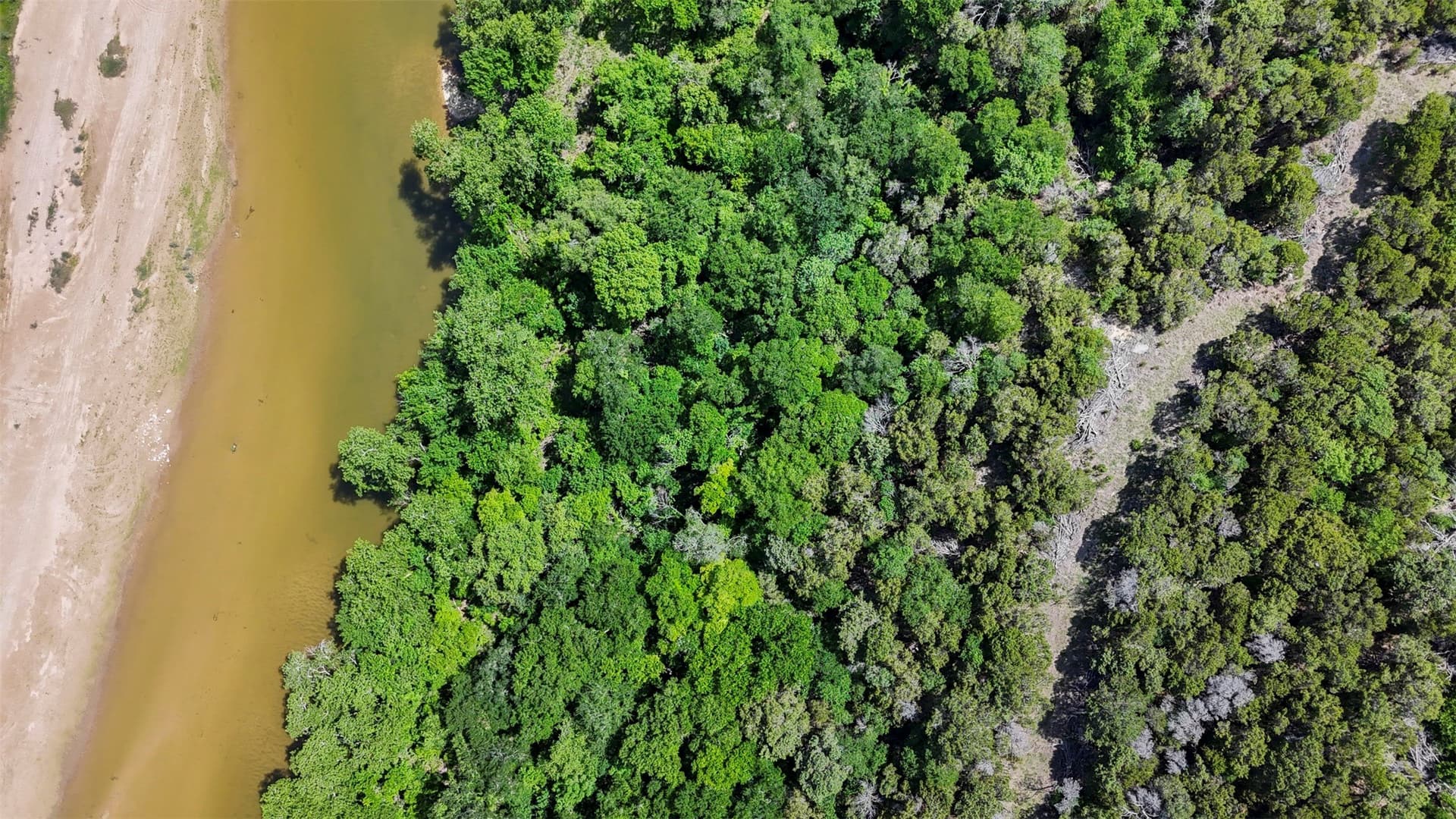 33.3 acres in Somervell County - photo 12