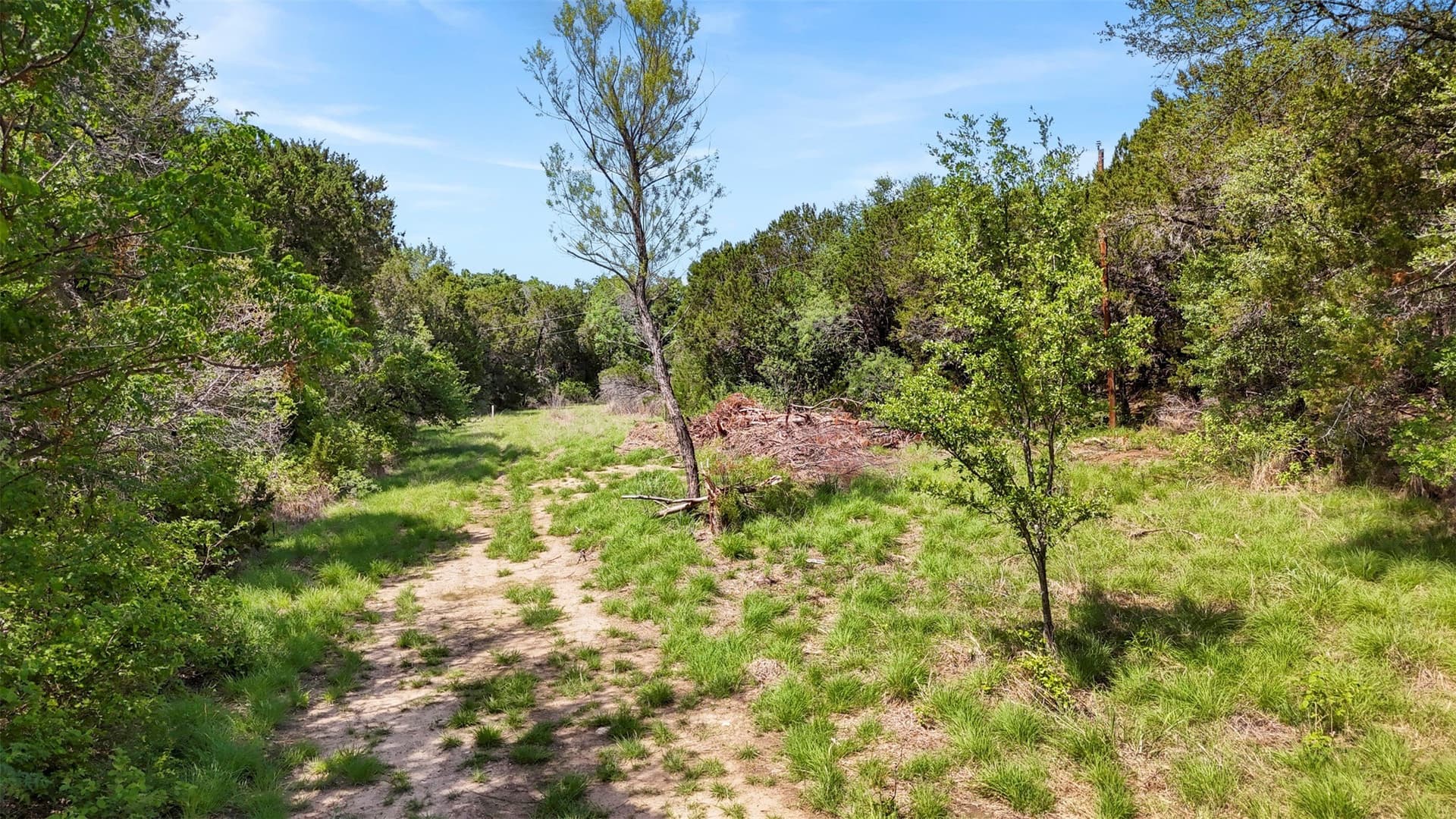 33.3 acres in Somervell County - photo 6
