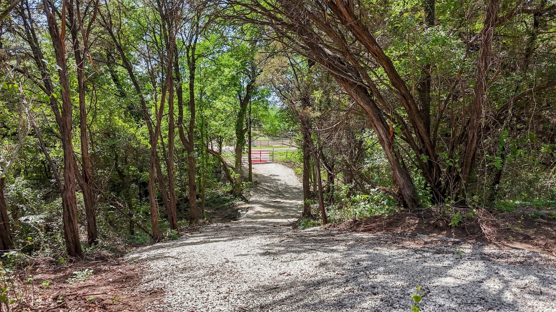 33.3 acres in Somervell County - photo 7