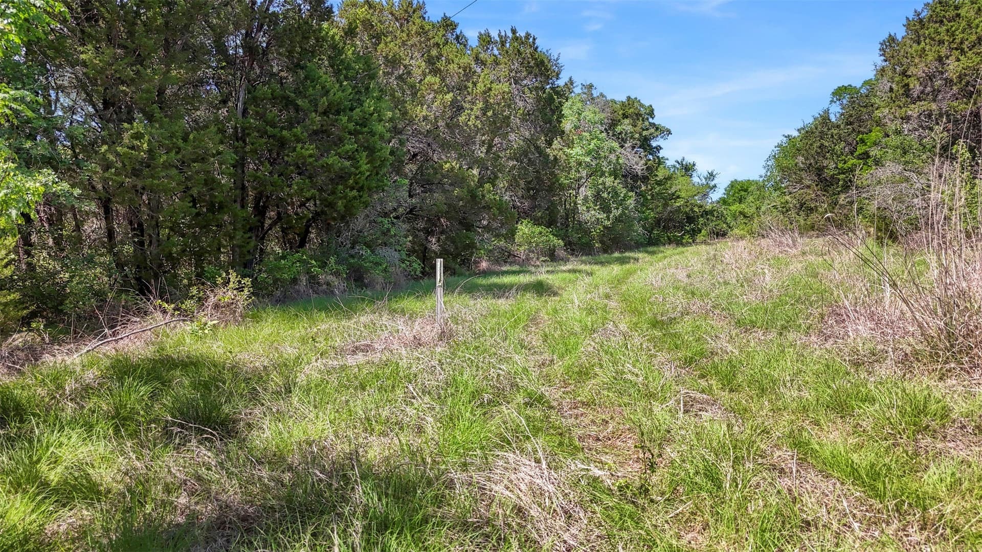 33.3 acres in Somervell County - photo 9