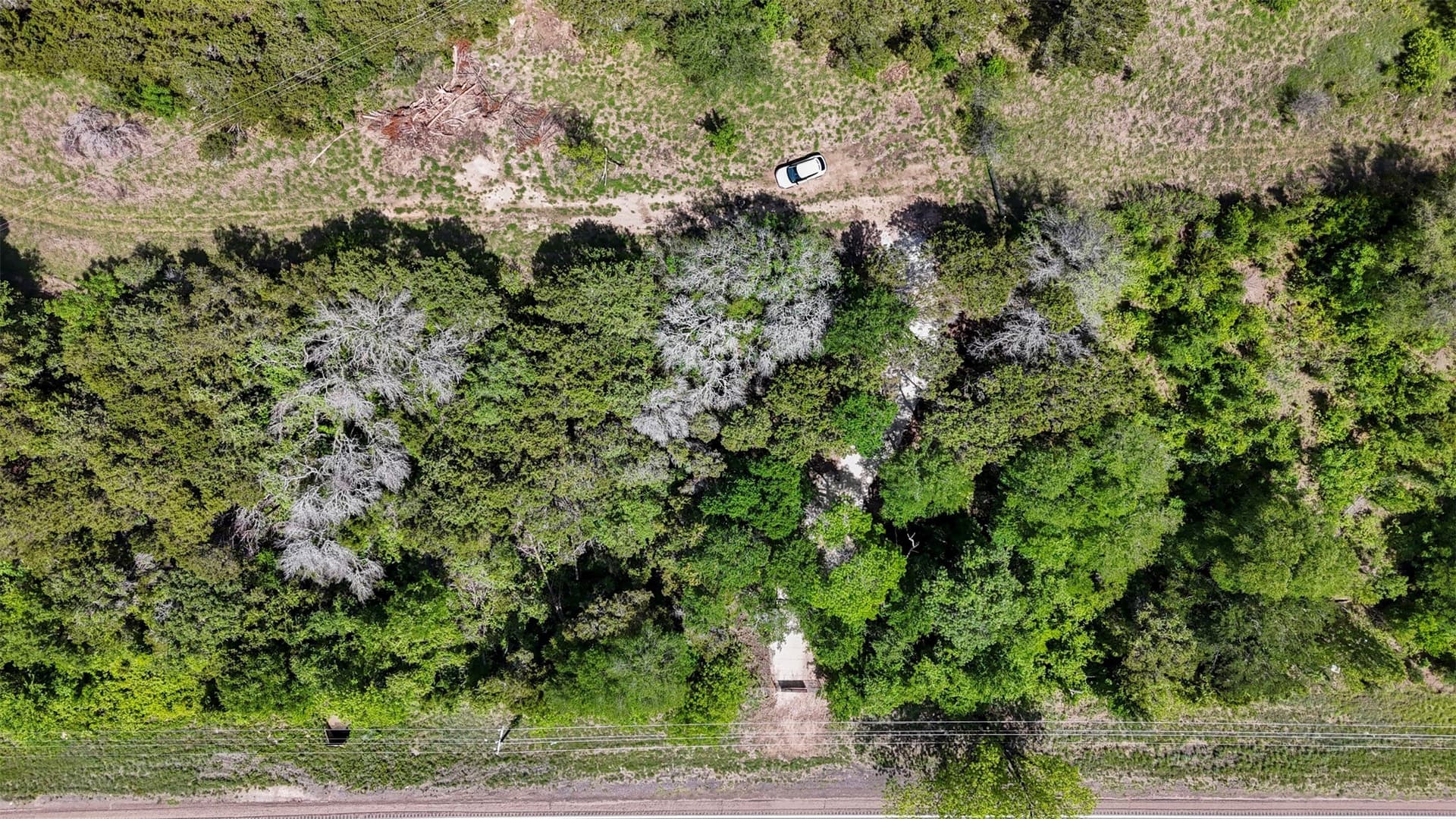 33.3 acres in Somervell County - photo 13