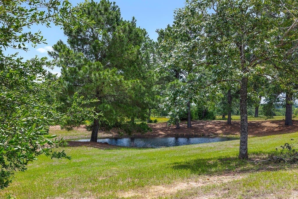 25 acres in Fayette County gallery image 4