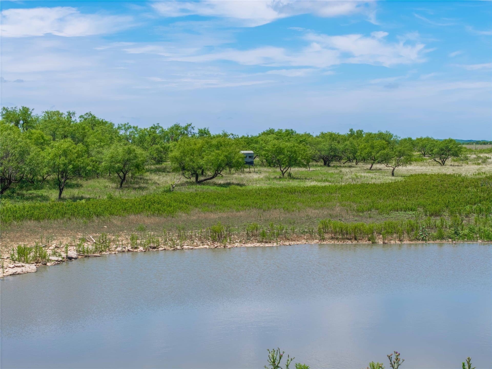 418 acres in Coleman County - photo 40