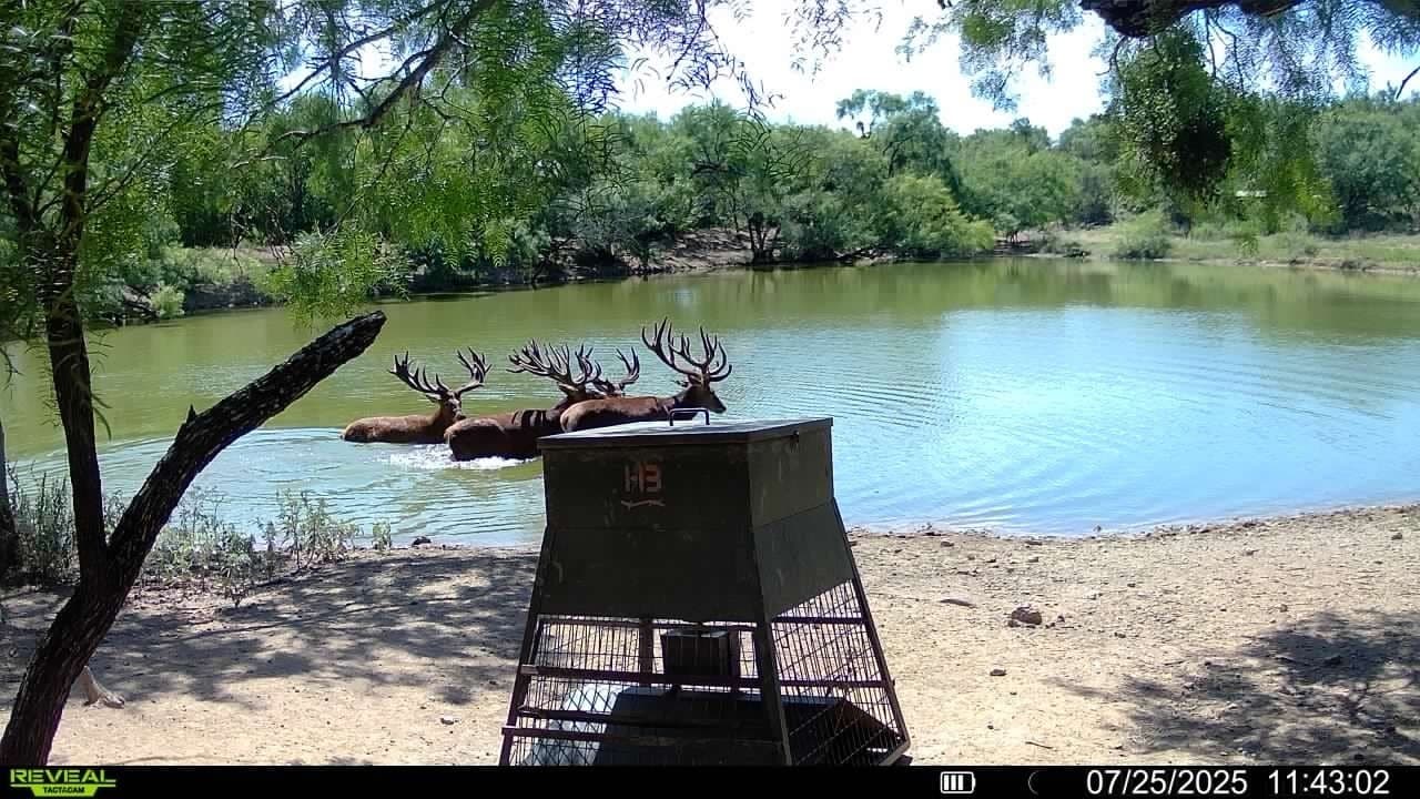 418 acres in Coleman County - photo 37