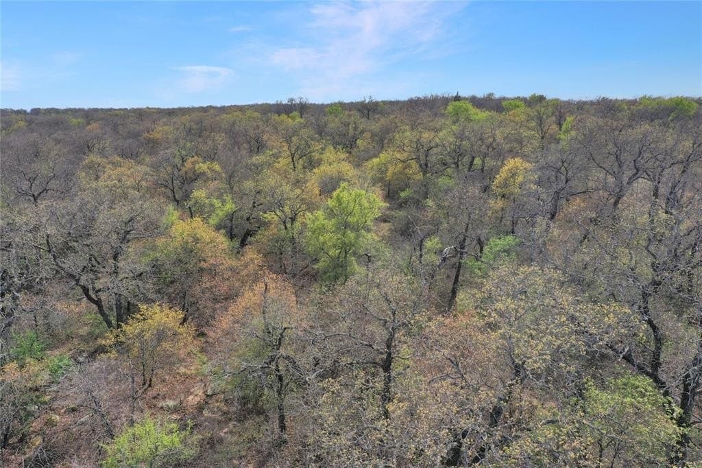 44 acres in Jack County gallery image 3