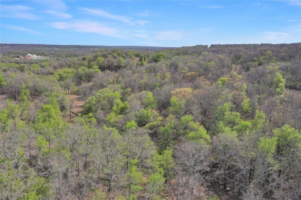 44 acres in Jack County featured view