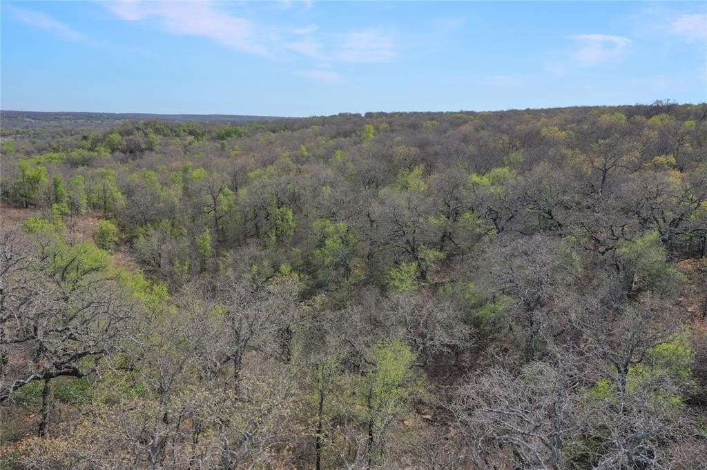 44 acres in Jack County gallery image 2