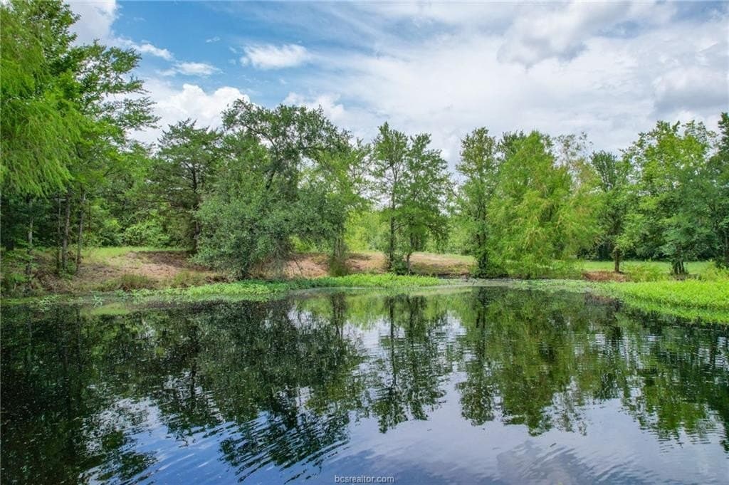 19.34 acres in Brazos County gallery image 4