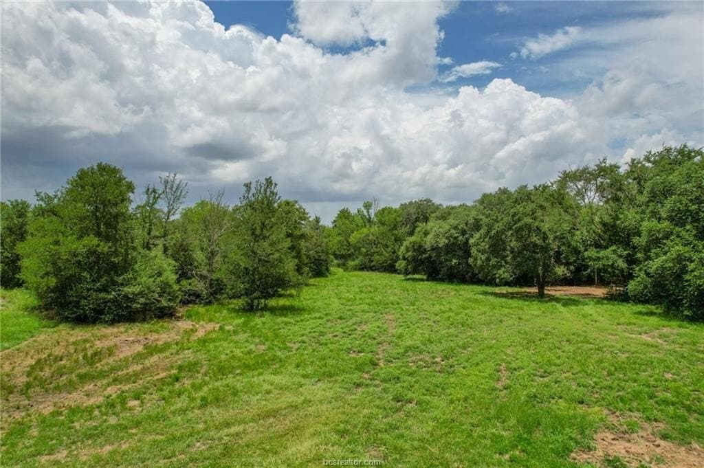 19.34 acres in Brazos County featured view
