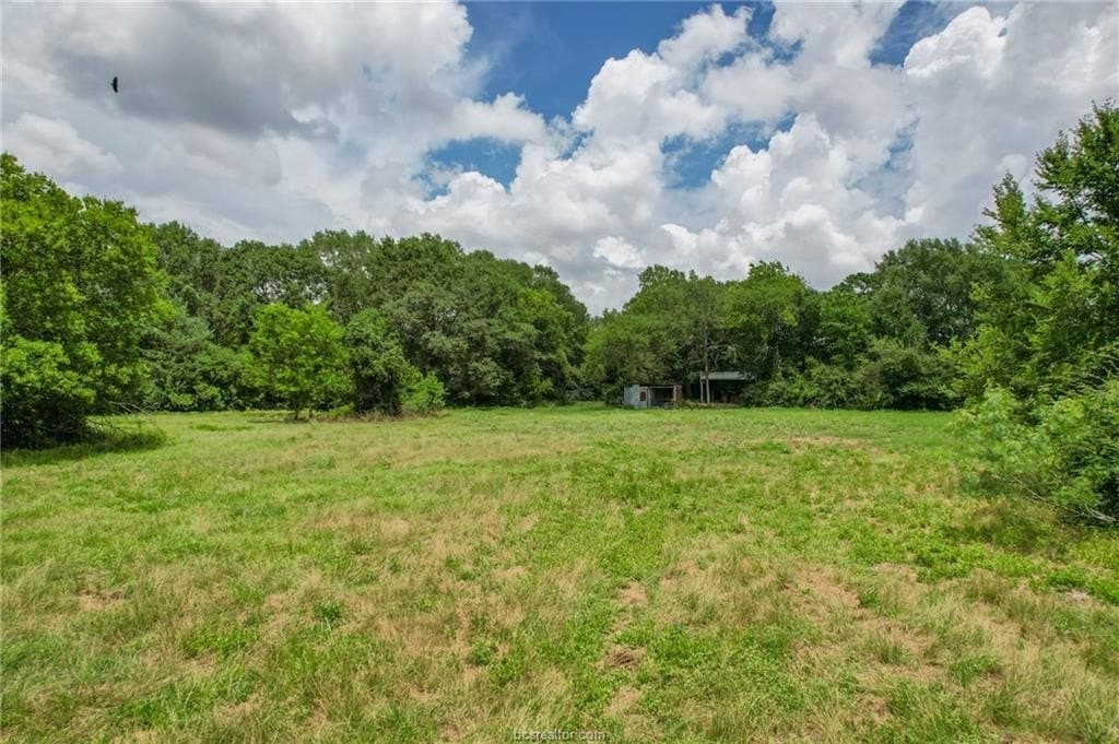 19.34 acres in Brazos County gallery image 3