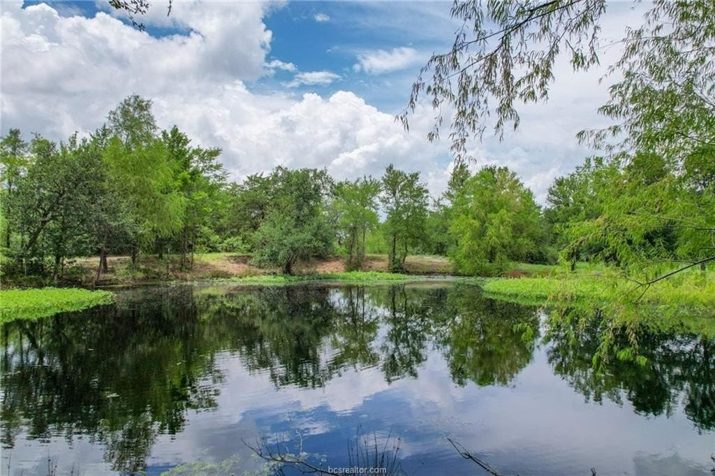 19.34 acres in Brazos County gallery image 2