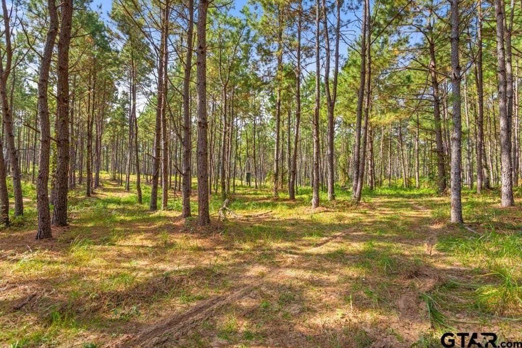 110.91 acres in Smith County - photo 25