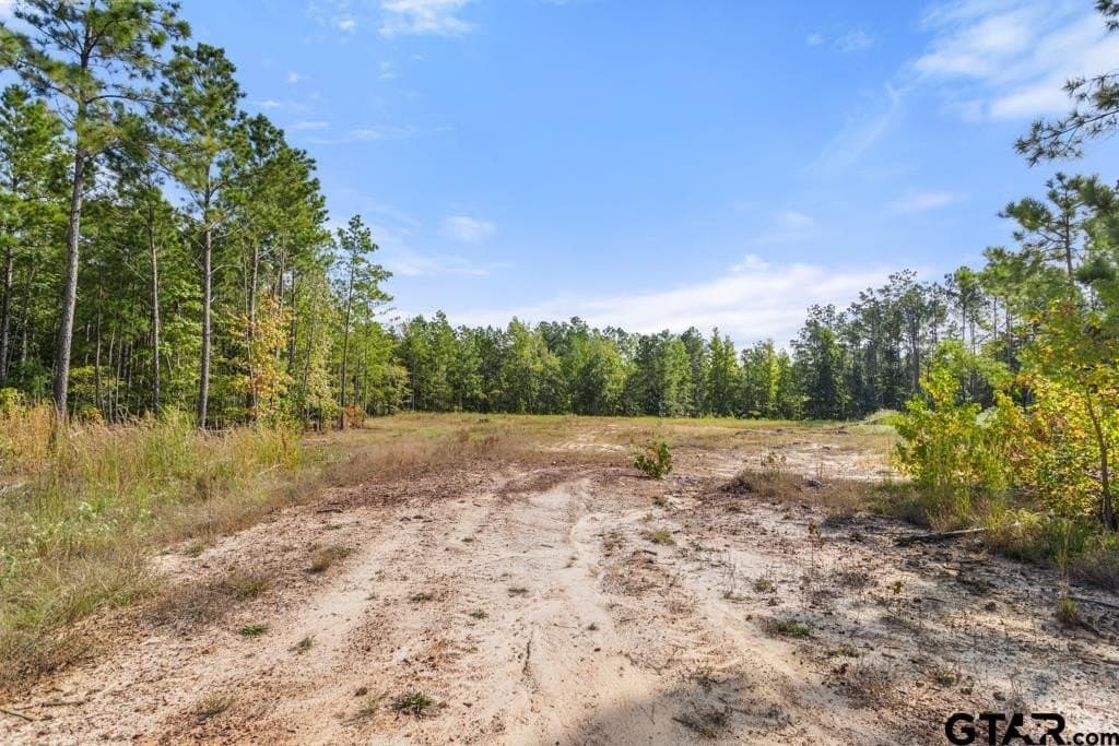 110.91 acres in Smith County - photo 17