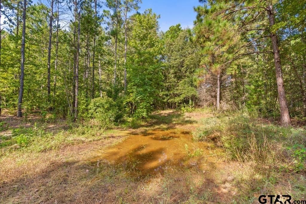 110.91 acres in Smith County - photo 23