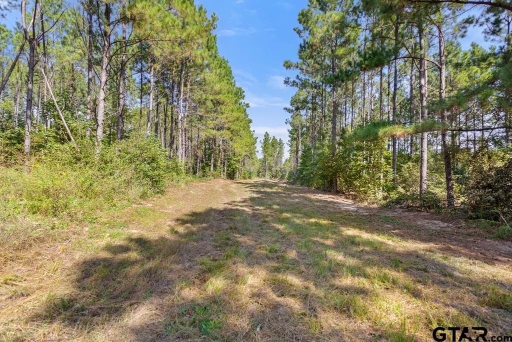 110.91 acres in Smith County - photo 33