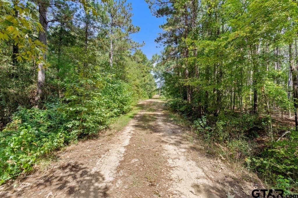 110.91 acres in Smith County - photo 35