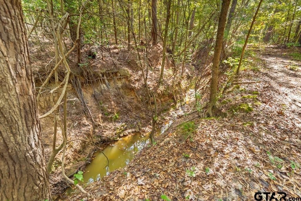 110.91 acres in Smith County - photo 21