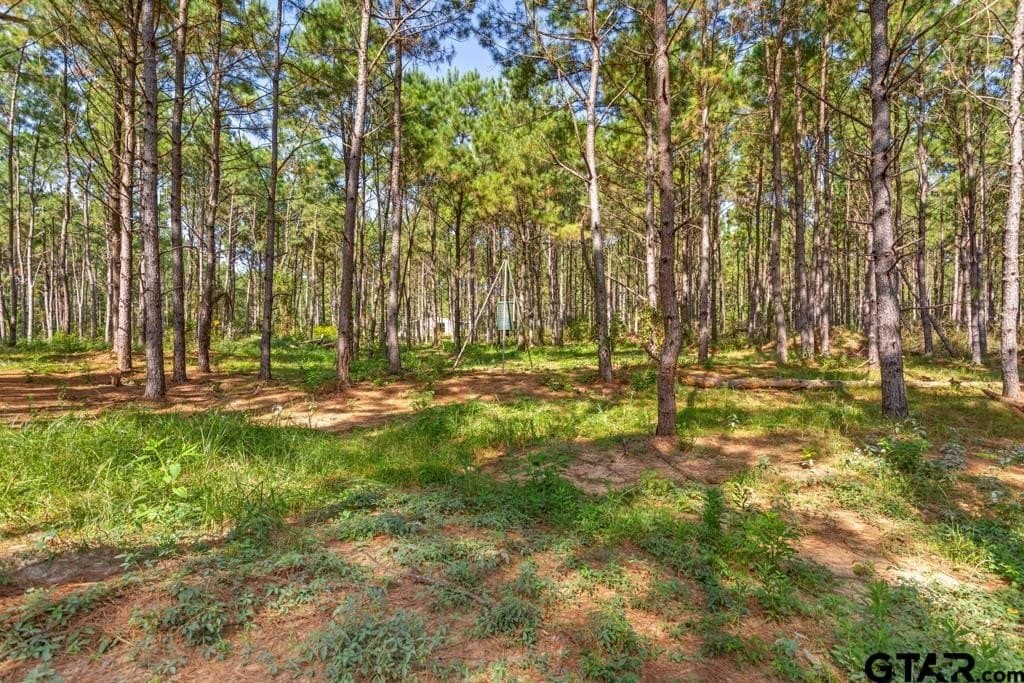 110.91 acres in Smith County - photo 26