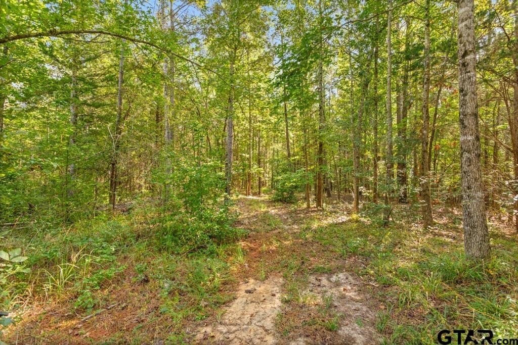 110.91 acres in Smith County - photo 20
