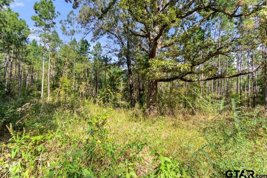 110.91 acres in Smith County - photo 30