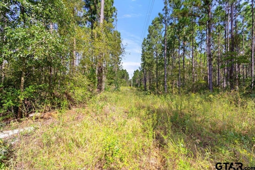 110.91 acres in Smith County - photo 31