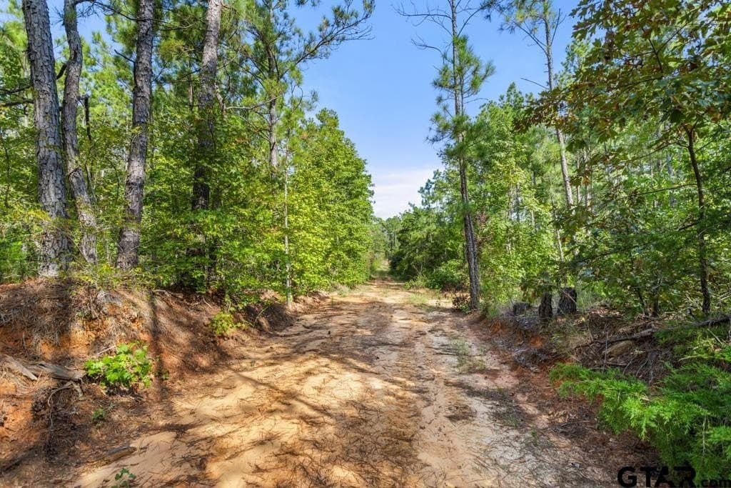 110.91 acres in Smith County - photo 32