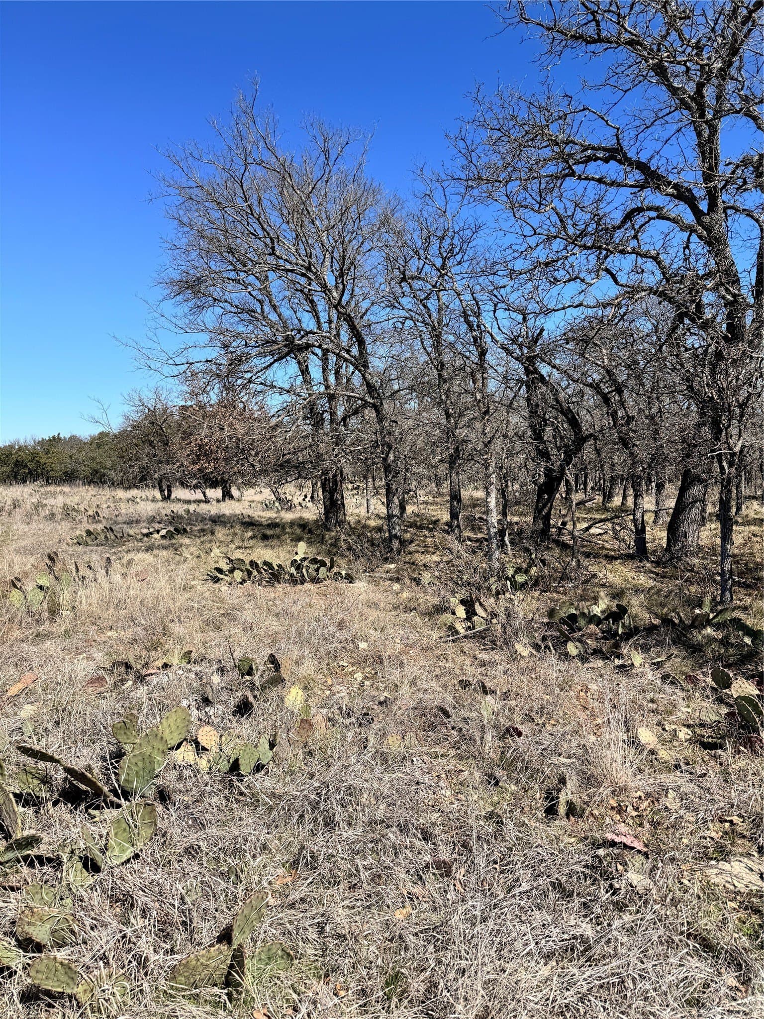 0.51 acres in Brown County - photo 4