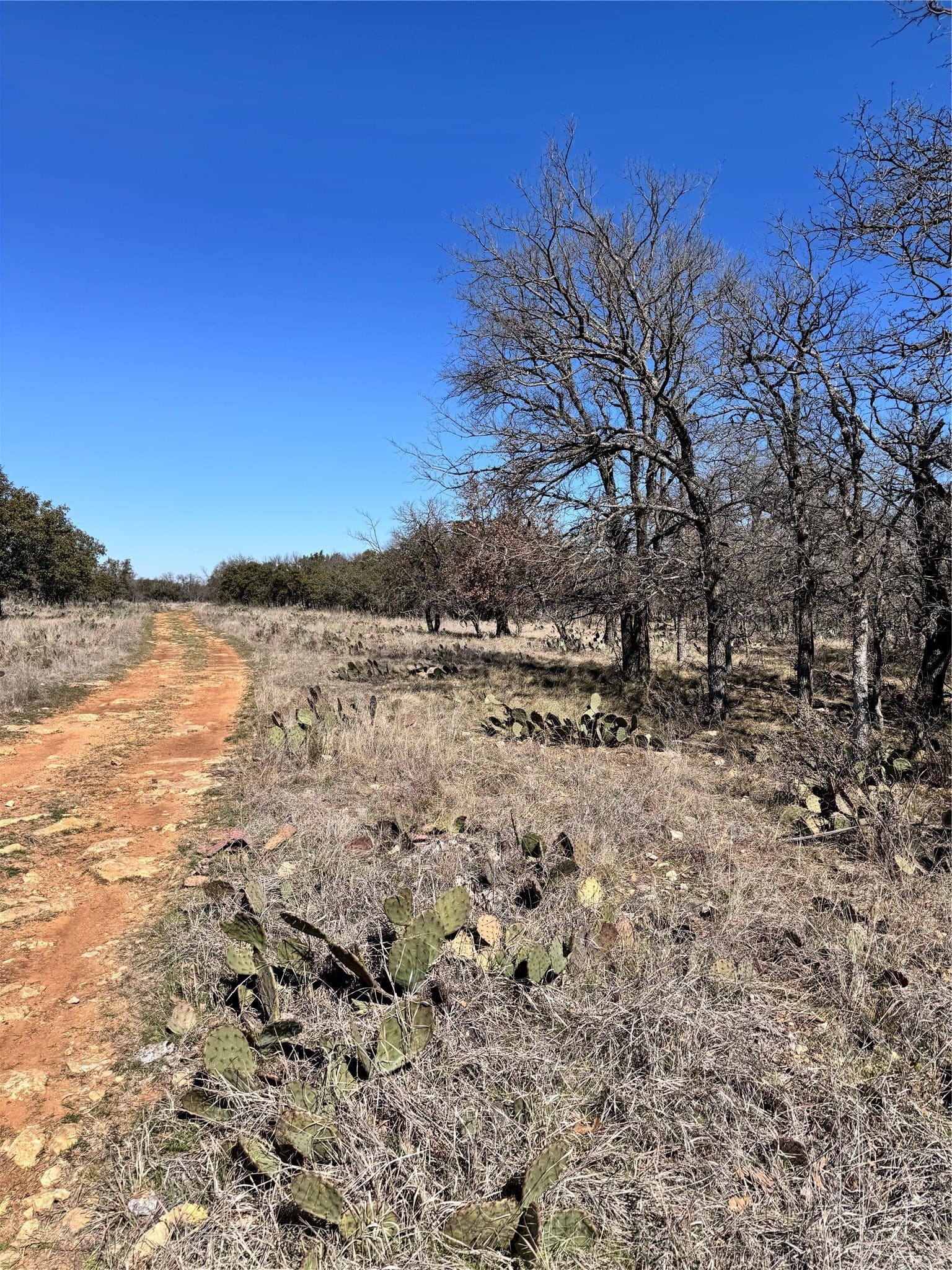 0.51 acres in Brown County - photo 3