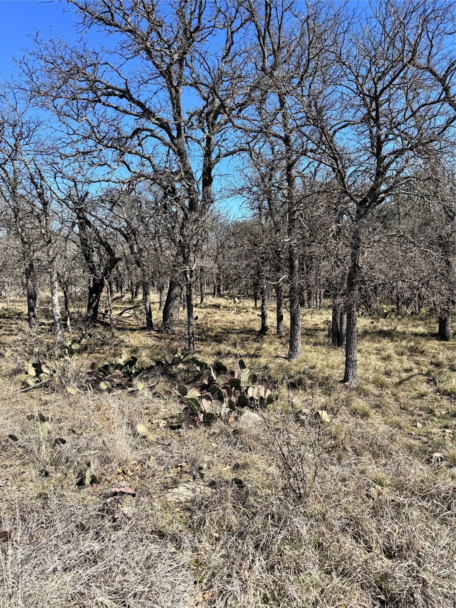 0.51 acres in Brown County - photo 6