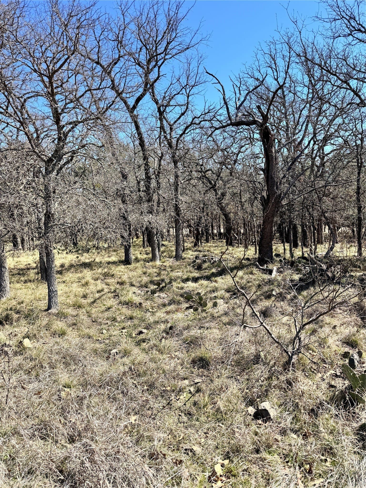 0.51 acres in Brown County - photo 8