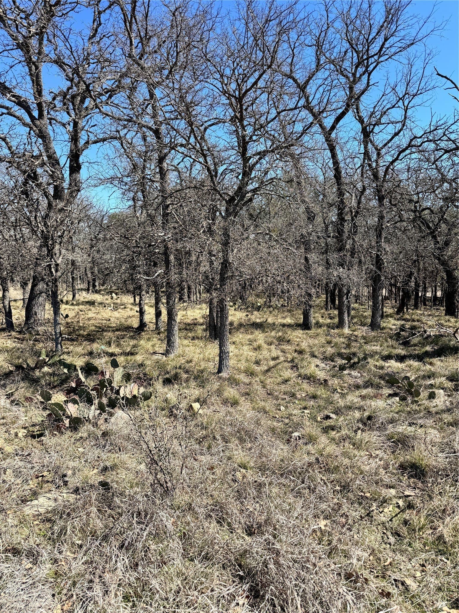 0.51 acres in Brown County - photo 7