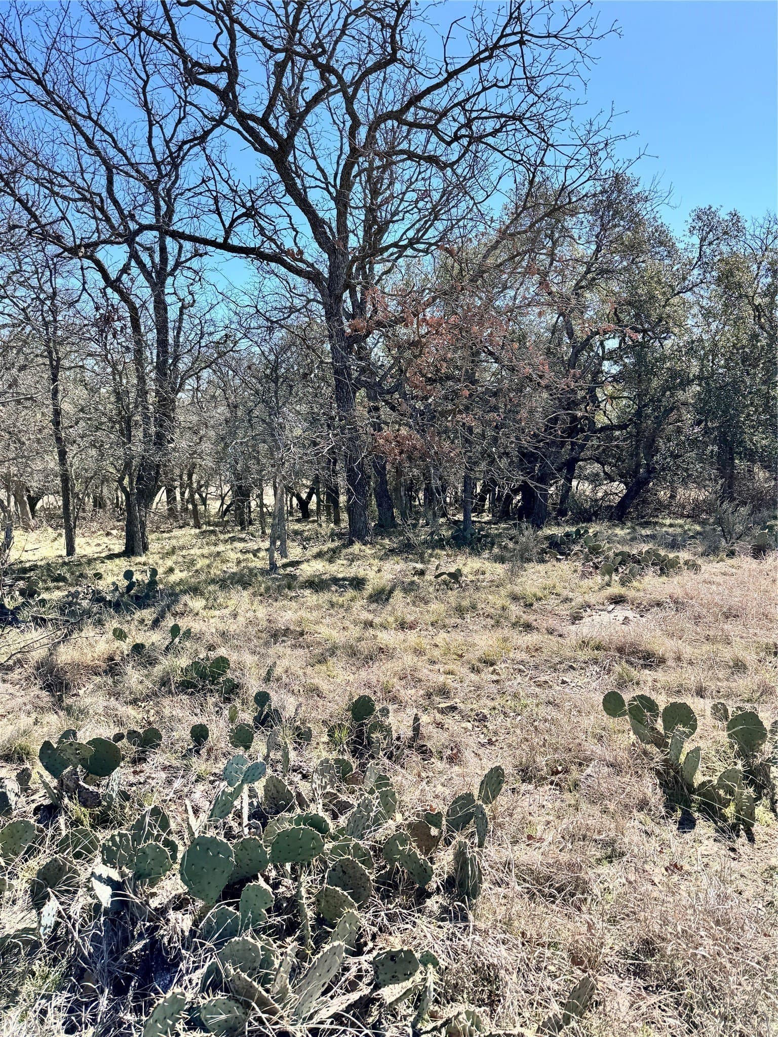 0.51 acres in Brown County - photo 10